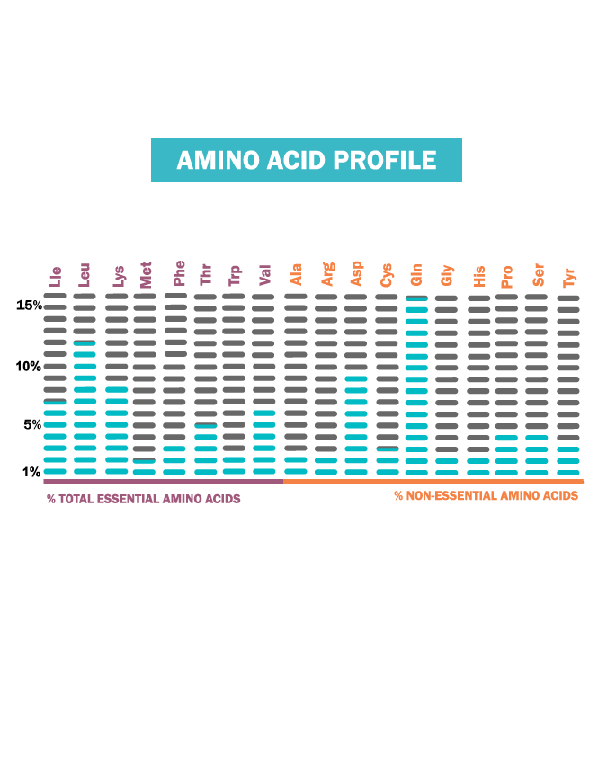 ISO-AMINO_dhwj-tx